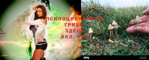тгк Вяземский