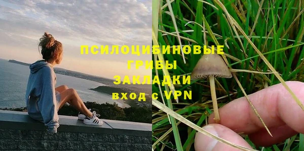 тгк Вяземский