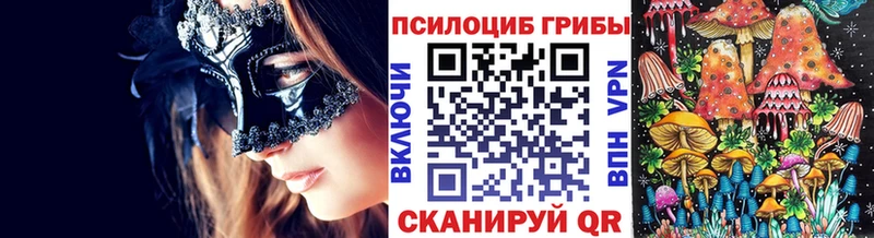 Купить закладки  Лосино-Петровский  Псилоцибиновые грибы ЛСД 
